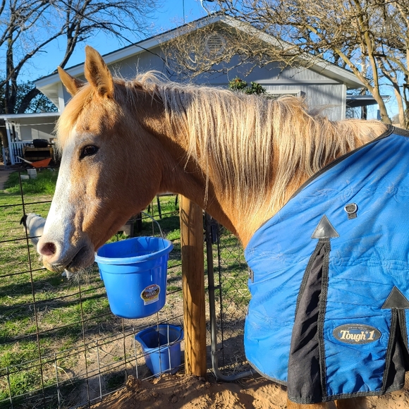 Meet your Posher, Dorothy - Picture 4 of 12